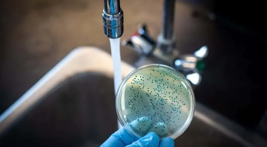 Why Bacteria Testing Is Essential in Residential and Commercial Potability Reviews