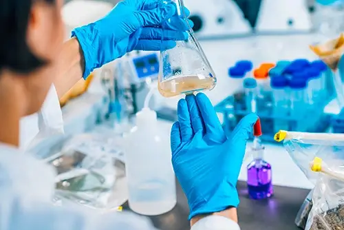 How Bacteria Metals and Minerals Work Together in Potability Testing