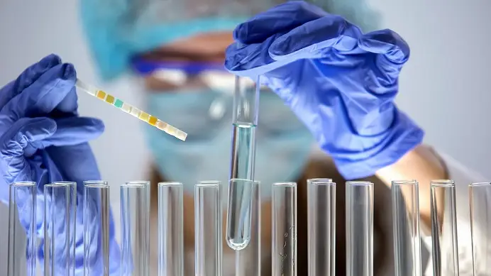 Why Better Potability Testing Keeps Serious Water Questions Grounded in Reality